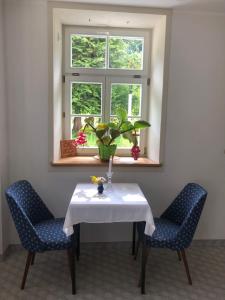 a table with two chairs and a window at Alte Leimsiederei in Herrnhut +30 photos