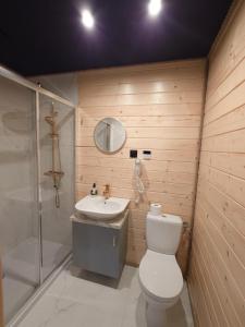 a bathroom with a toilet and a sink and a shower at SOSNOWY ZAKĄTEK in Okuninka +44 photos
