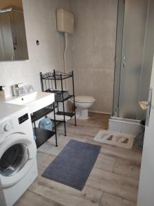 Kúpeľňa v ubytovaní apartman Rijeka