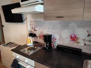 Kuchyň nebo kuchyňský kout v ubytování apartman Rijeka