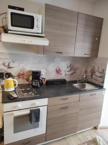 Kuchyň nebo kuchyňský kout v ubytování apartman Rijeka
