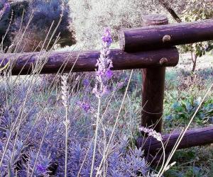 Fotografie z fotogalerie ubytování Luce Stellata v destinaci Serralta