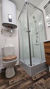Un baño con inodoro y ducha de cristal. en Studio New York hypercentre Reims, en Reims