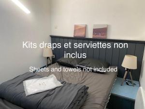 a bedroom with a bed with two lights and two lamps at Appartement Cosy - Les Ecureuils in Arès +13 photos