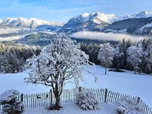 a tree covered in snow in front of a fence at Panorama Chalet mit Sauna Höllmaishof in Bischofshofen
