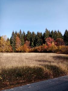 Foto dalla galleria di Brvnara Tikva 2 a Nova Varoš