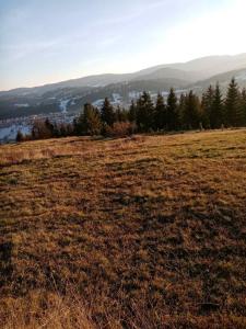 Foto dalla galleria di Brvnara Tikva 2 a Nova Varoš