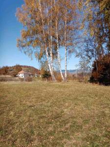 Foto dalla galleria di Brvnara Tikva 2 a Nova Varoš Altre 14 foto