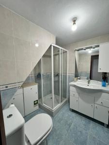a bathroom with a shower and a toilet and a sink at Casa Dentro da Vila in Ponte de Lima