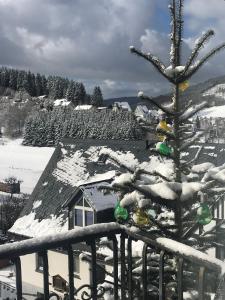 a tree covered in snow next to a house at Haus Westfeld in Schmallenberg