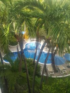 Fotografie z fotogalerie ubytování Appart depa CENTER v destinaci Playa del Carmen