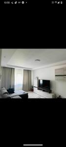 a living room with a bed and a television at Apartament Catrys in Brezoi