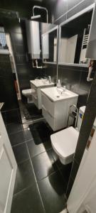 a bathroom with two sinks and two toilets at Apartament Roman in Băile Herculane +2 photos