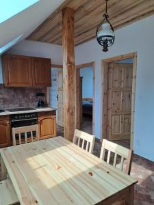 Kuchyň nebo kuchyňský kout v ubytování Pension Na Statku- Kočičí apartmán