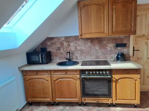 Kuchyň nebo kuchyňský kout v ubytování Pension Na Statku- Kočičí apartmán