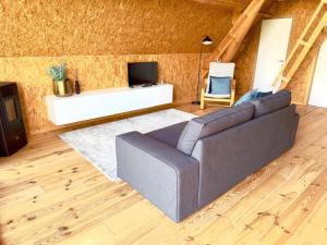 a living room with a couch and a tv at Saules et Têtards in Frasnes-lez-Anvaing