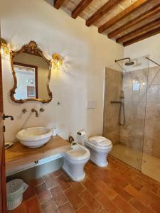 特雷宽达Agriturismo Sole的带水槽、马桶和淋浴的浴室