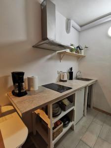 Kuchyň nebo kuchyňský kout v ubytování Monte Sonia Apartments + 16 fotografií