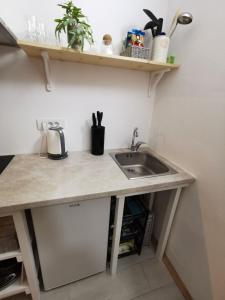 Kuchyň nebo kuchyňský kout v ubytování Monte Sonia Apartments