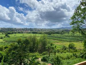 Naturlandskabet i nærheden af lejligheden