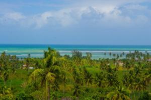 a view of a beach with palm trees and the ocean at Araxá Milagres in São Miguel dos Milagres +90 photos