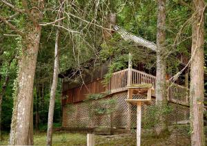 a tree house in the middle of the forest at Parkside Party #1676 in Gatlinburg