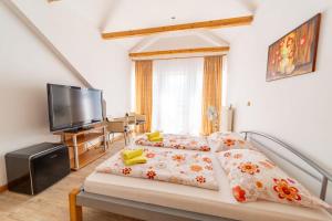 TV a/nebo společenská místnost v ubytování Hotel Palazzo