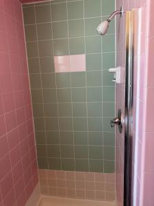 a shower with pink and green tile at Fireside Inn in King City