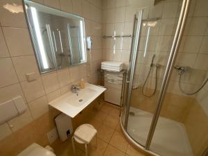 a bathroom with a shower and a sink at Altstadt-Refugium - Schlossblick, Sauna, Parkplatz, Innenstadt, Wow Sky Sport BL in Wernigerode +9 photos