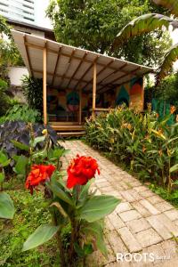a garden with red flowers in front of a building at Económico alojamiento en Medellín por días - A102 By Roots Rentals in Medellín