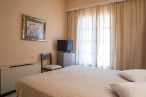 TV i/ili multimedijalni sistem u objektu Olympic Hotel