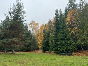 Φωτογραφία από το άλμπουμ του Luxury Canvas Yurt Nestled in a Private Forest σε Naples