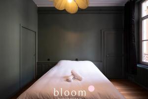 Le Lafayette Coeur de ville 6 personnes في نانسي: غرفة نوم عليها سرير نفرين