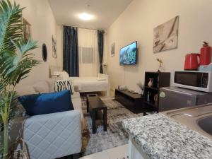 Μια τηλεόραση ή/και κέντρο ψυχαγωγίας στο The 1Residence Dubai +6 φωτογραφίες