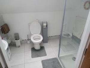 un bagno bianco con wc e doccia di Blackbrink cottage a Roscommon