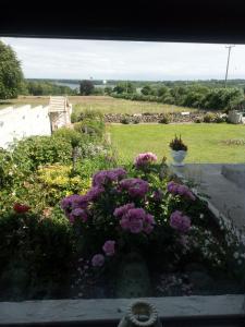 Giardino di Blackbrink cottage