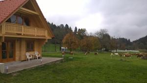Příroda nedaleko apartmánu