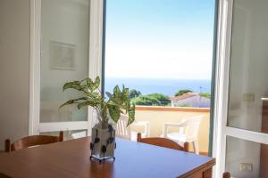 a plant in a vase on a table in front of a window at Bougainvillea Primo Piano - Goelba in Zanca