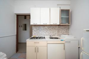 Kuchyň nebo kuchyňský kout v ubytování Apartment Vidalici 6519c
