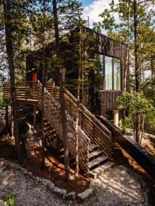 Vườn quanh Black Spruce - Orange Door