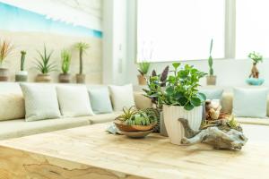 a living room with a table with plants on it at Hayama Umino Hotel in Hayama