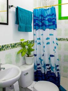 Bidea Backpackers Hostel tesisinde bir banyo