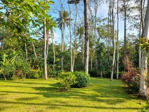 Taman di luar NDALEM NITIHARDJAN