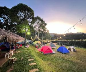 a group of tents in a field with lights at Phuthipthara Resort in Ban Welu Klang