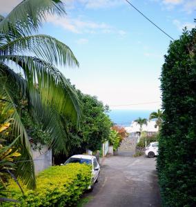 a car parked in the driveway of a house at Bienvenue à l'Oasis Bungalow Paisible in Les Avirons