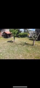 a person standing in a field with a tree at Maison de vacances in Saint-Trojan-les-Bains +4 photos