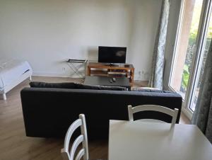 TV a/nebo společenská místnost v ubytování Charmant Appart - Vue Imprenable sur le Lac Léman + 8 fotografií