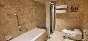 a bathroom with a tub and a toilet and a shower at 麗隆商旅LilongHotel in Kaohsiung +49 photos
