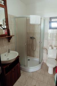 a bathroom with a shower and a sink and a toilet at Hanul Pescarilor Crisan in Tulcea +26 photos