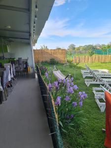 Κήπος έξω από το Vadul Anikis +22 φωτογραφίες